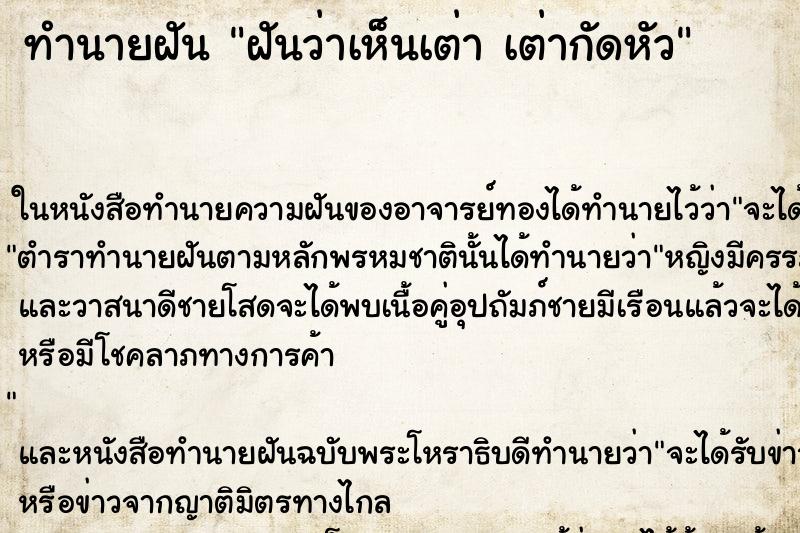 ทำนายฝันฝันว่าเห็นเต่าเต่ากัดหัว ทำนายฝันทำนายฝันฝันว่าเห็นเต่าเต่ากัดหัว